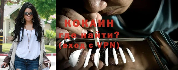 прущие грибы Бабаево