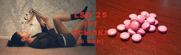 прущие грибы Бабаево
