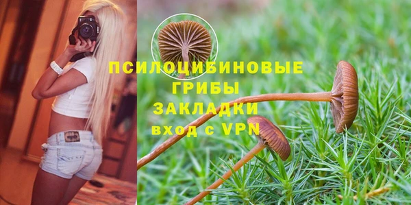 не бодяженный Ахтубинск