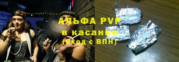 прущие грибы Бабаево
