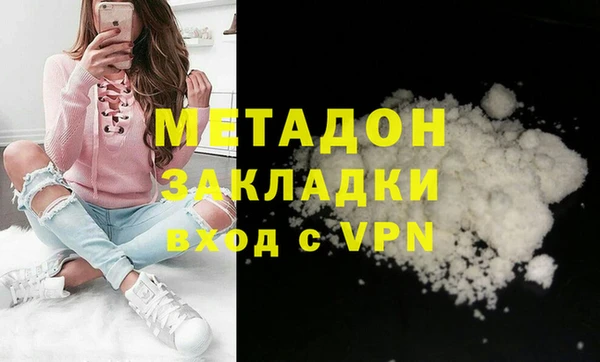 прущие грибы Бабаево